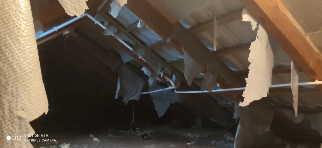 Uszkodzenia membrany dachowej spowodowane przez kunę domową